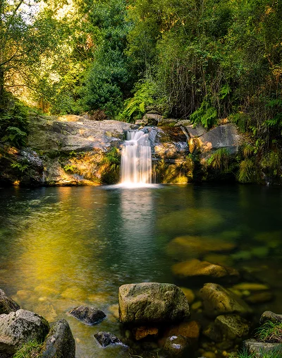 a waterfall in a forest
